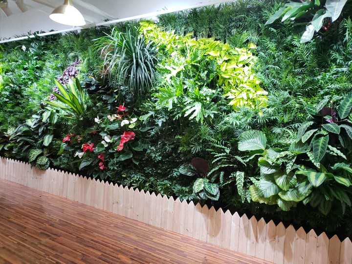 武汉绿植墙
